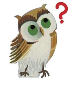 Why?OWL